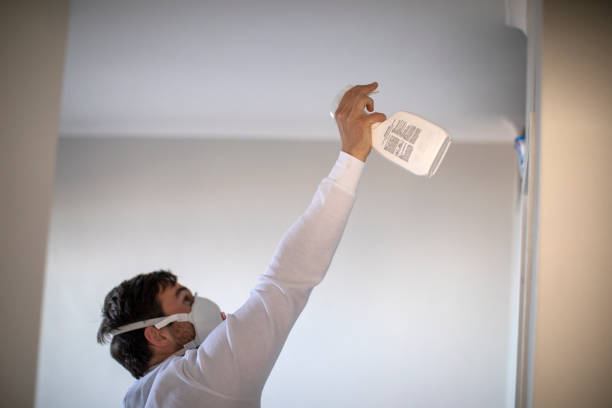 Best Emergency Mold Removal  in Edwards Af, CA