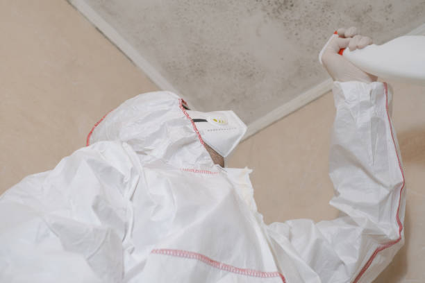 Best Mold Removal Company Near Me  in Edwards Af, CA