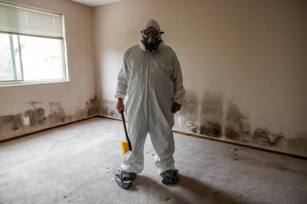 Best Office Mold Removal Services  in Edwards Af, CA